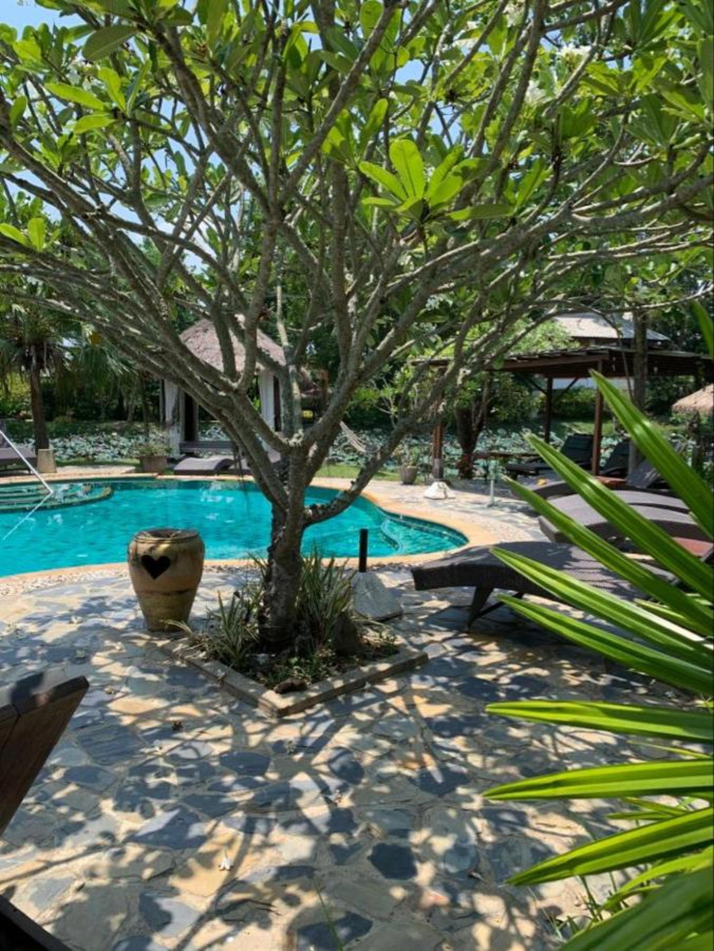 Baan Chai Thung Resort Doi Saket Екстериор снимка