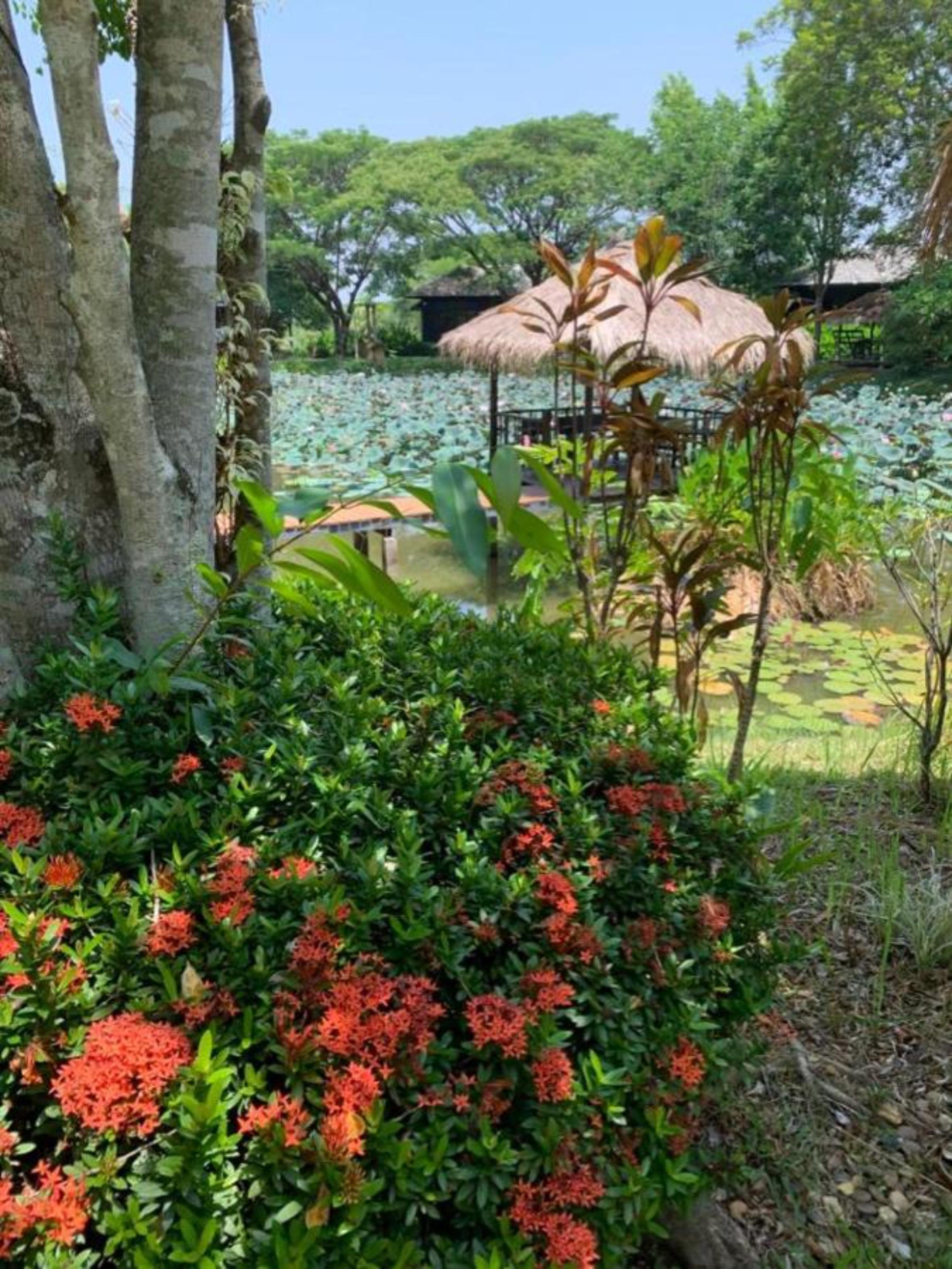 Baan Chai Thung Resort Doi Saket Екстериор снимка